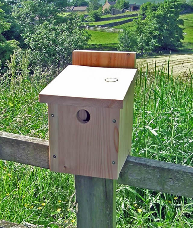 Bird Box Building